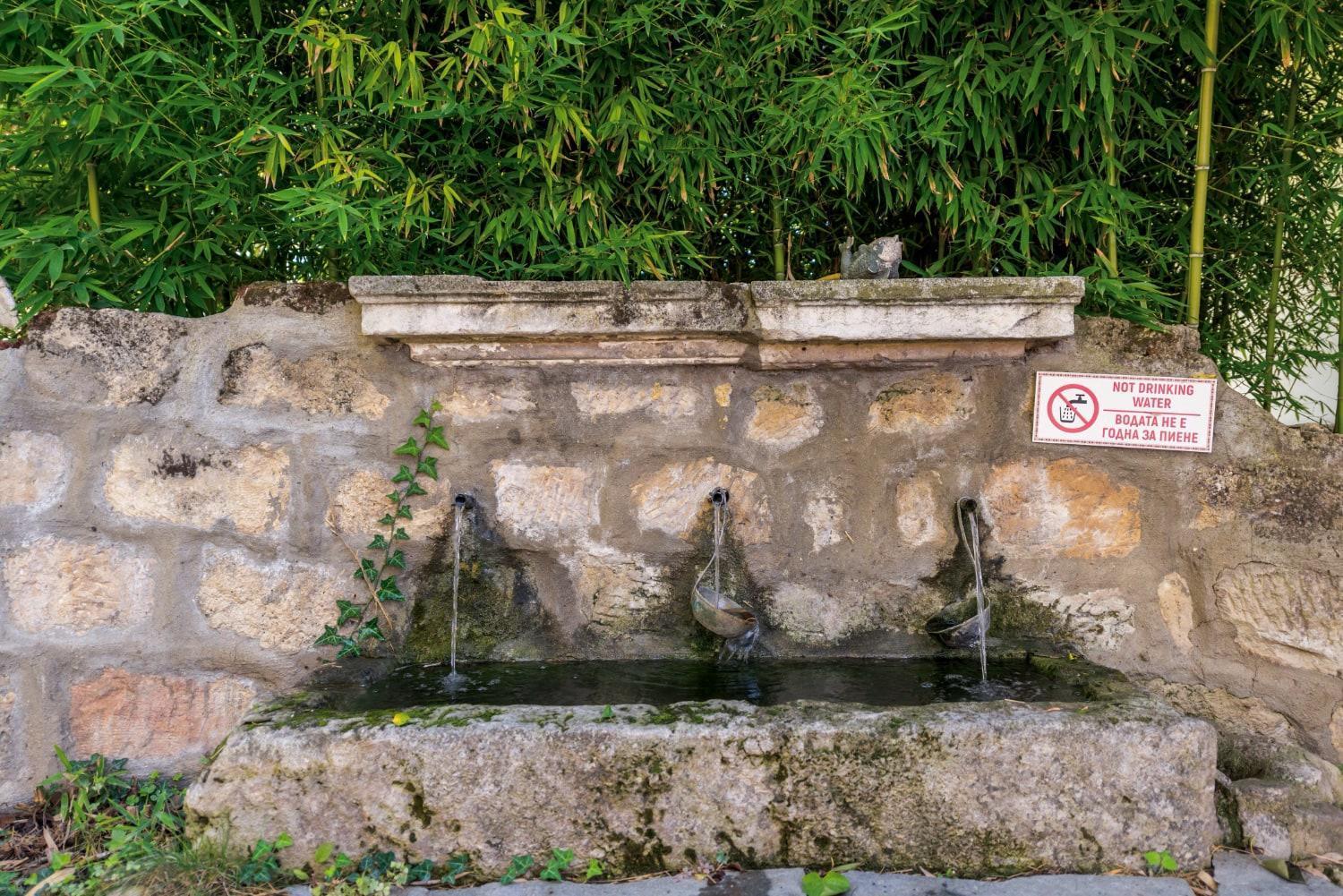 Viara * Pchelnik (Varna)